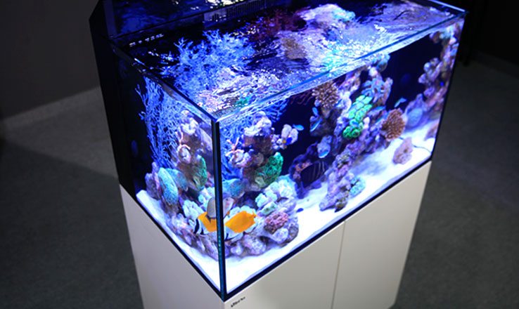Sera's New Modular Nano LED Light is a Fun Way to Play With Colors, Reef  Builders