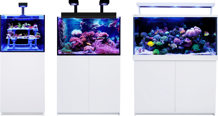 all-aquariums-for-recipe-banner